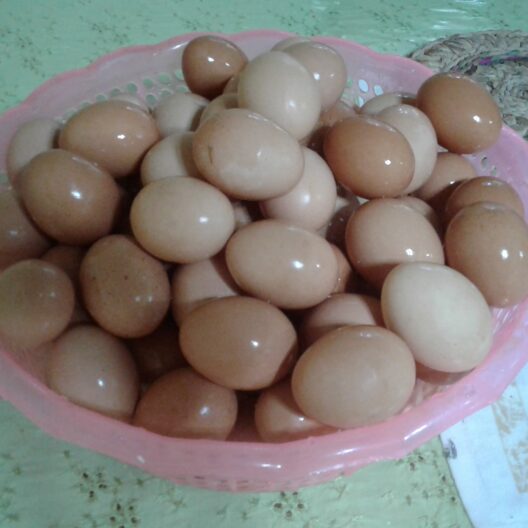 Huevos artesanales de patio