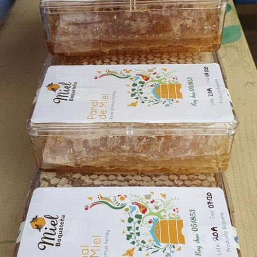 Panal – Honey Comb