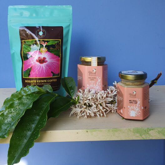 Infusión Miel – Café – 7.5oz