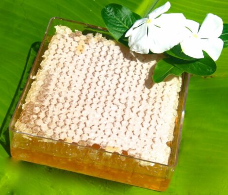 Panal – Honey Comb