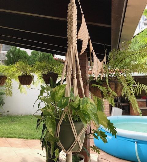 Colgante para maceta de macramé.