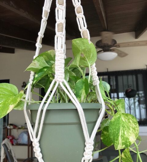 Colgante para maceta de macramé.