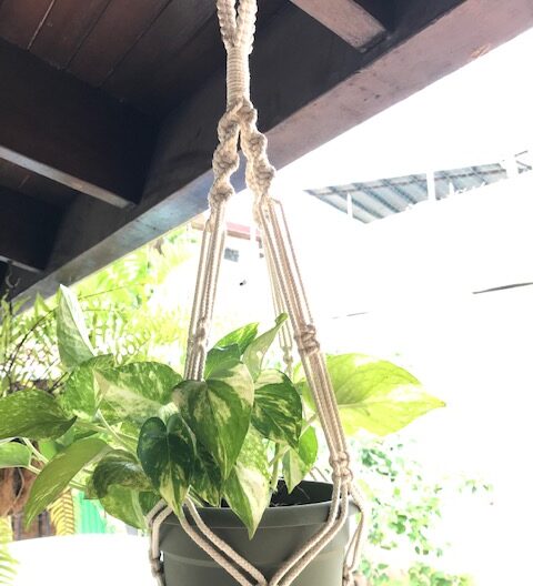 Colgante para maceta de macramé.