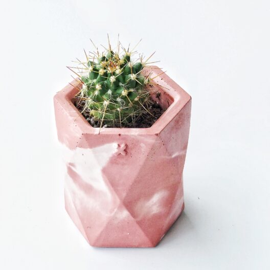 Hogar y Jardinería Macetero en concreto – MODELO HEXA – GRANDE Macetero en concreto – MODELO HEXA – GRANDE