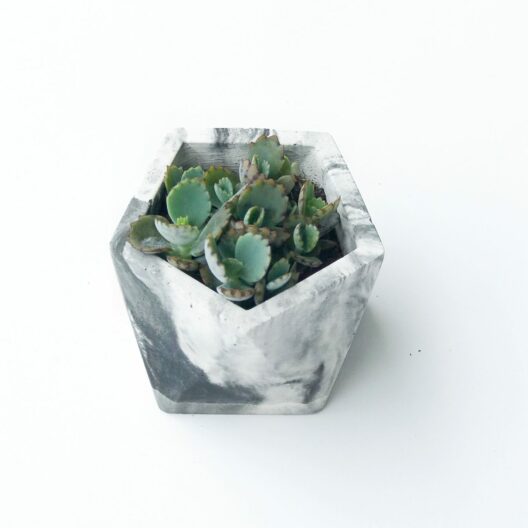 Hogar y Jardinería Macetero en concreto – MODELO PENTA – CHICO Macetero en concreto – MODELO PENTA – CHICO