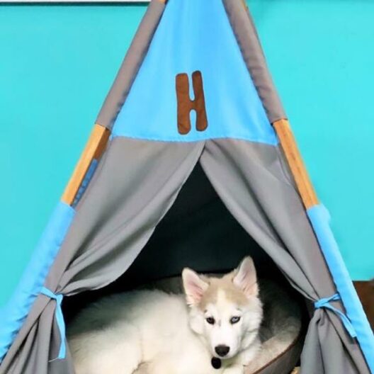 Hogar y Jardinería Tipi Mascota Grande Tipi Mascota Grande