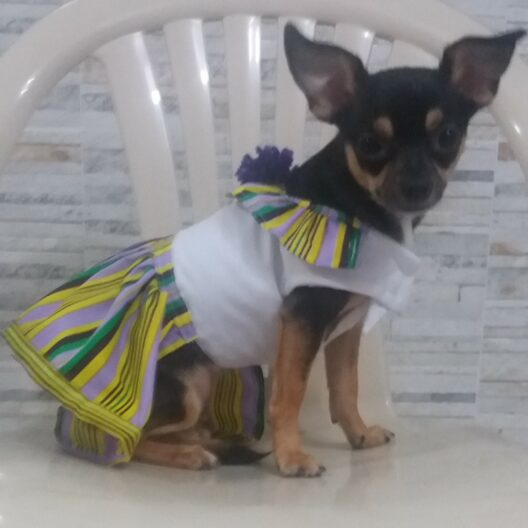 POLLERITA ESTILO TUMBA HOMBRE