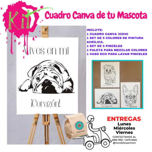 Artes, Entretenimiento y Creatividad KIT DE Cuadro Canva Personalizada KIT DE Cuadro Canva Personalizada