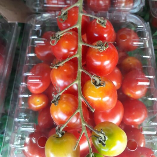 Tomates Cherry