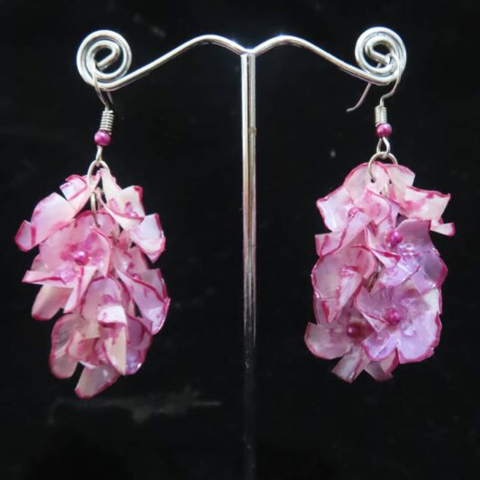 ESCAMAS DE PESCADO Promoción por Feria