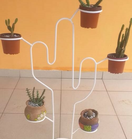 Pedestal para cactus