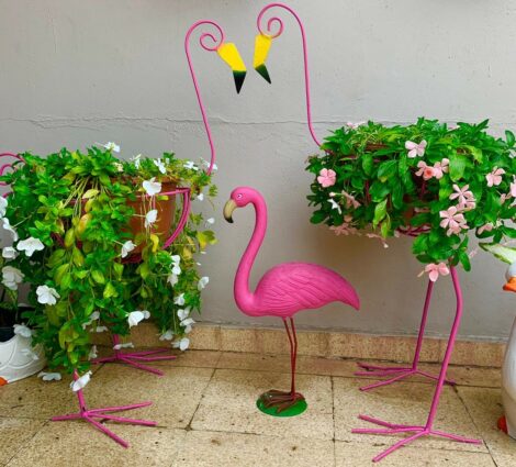 Dúo de Flamingo