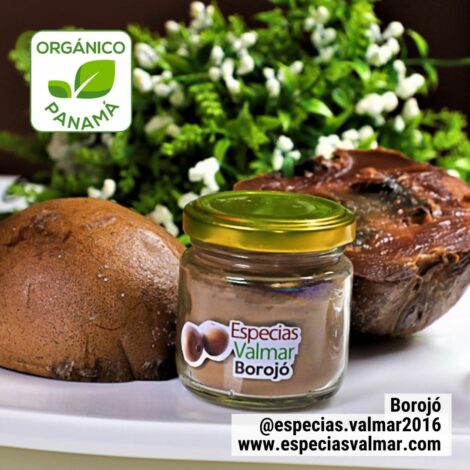 Borojó Orgánico – 50 gramos