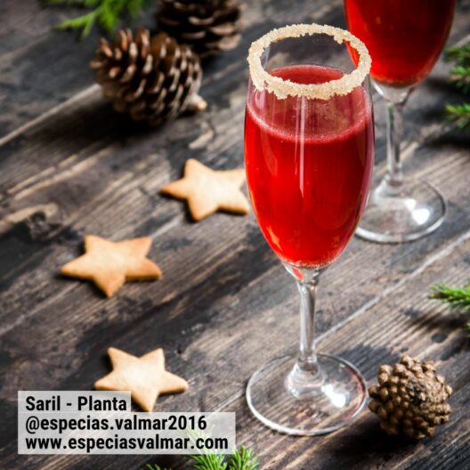 SAril con Especias - Cóctel - Especias Valmar