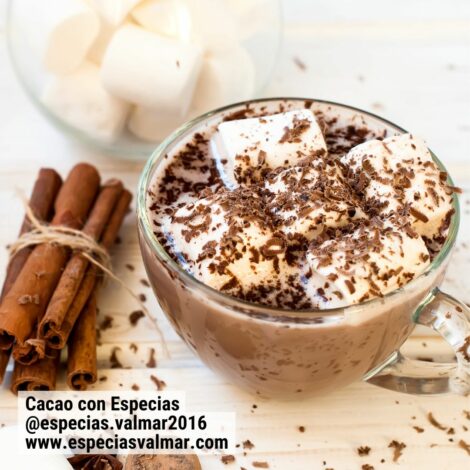 Cacao con Especias - Poste- Especias Valmar