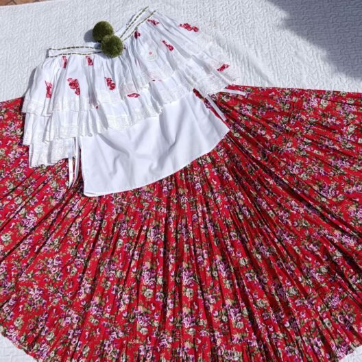 Pollera para dama